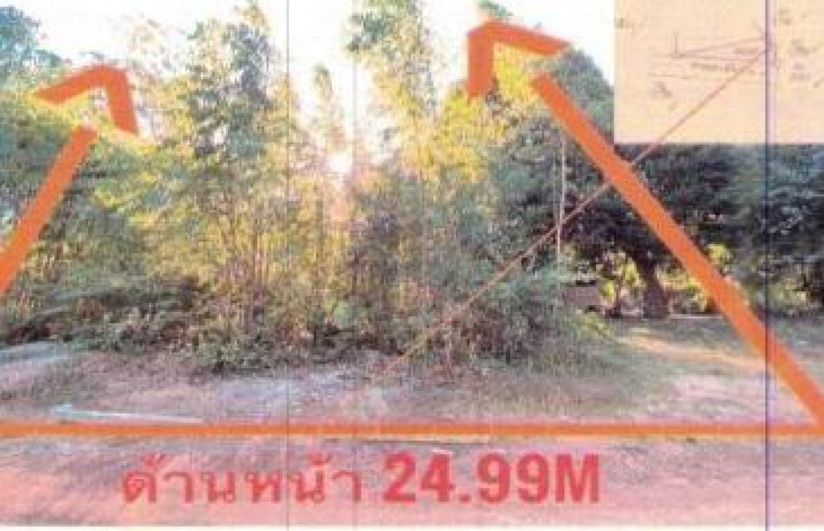 ที่ดินเปล่า อุบลราชธานี บุณฑริก บัวงาม 174100