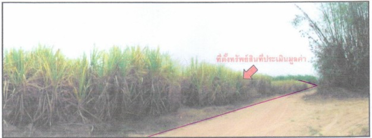 ที่ดินเปล่า อุดรธานี กุดจับ ตาลเลียน 1852950