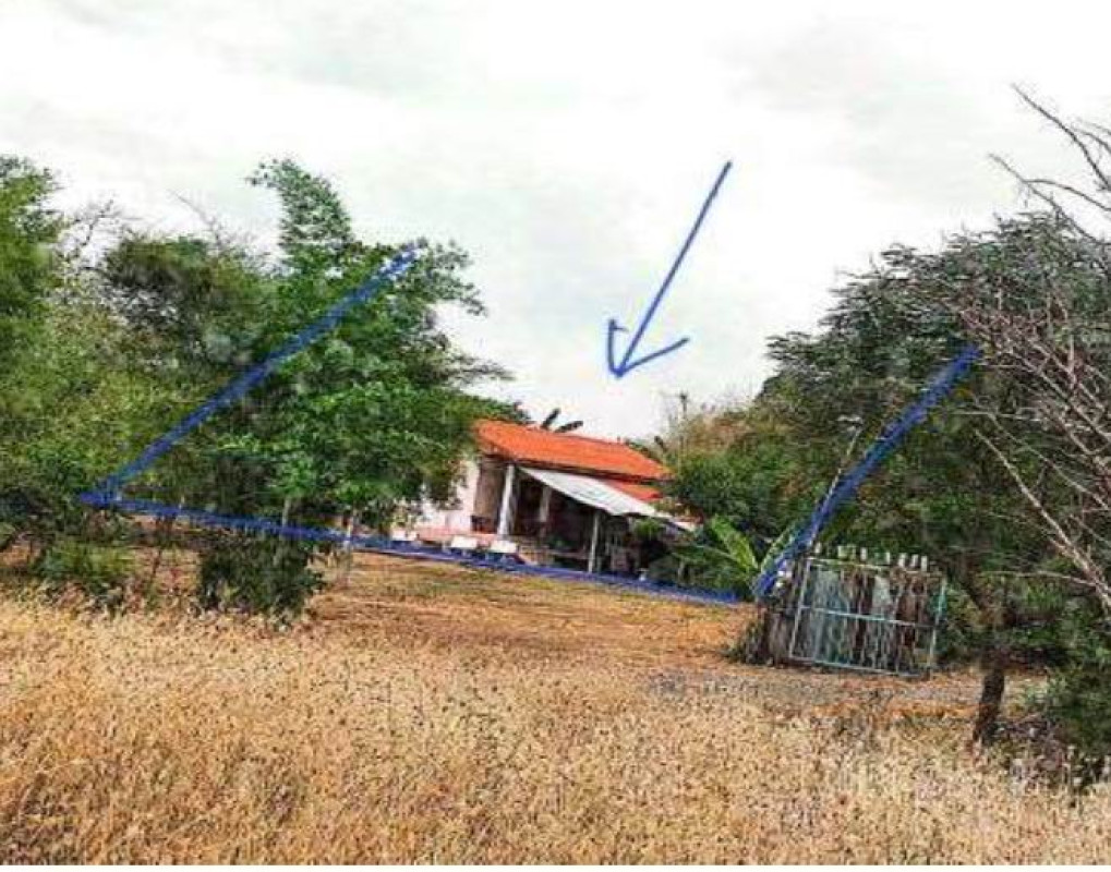 บ้านเดี่ยว พิจิตร ดงเจริญ วังงิ้วใต้ 254700