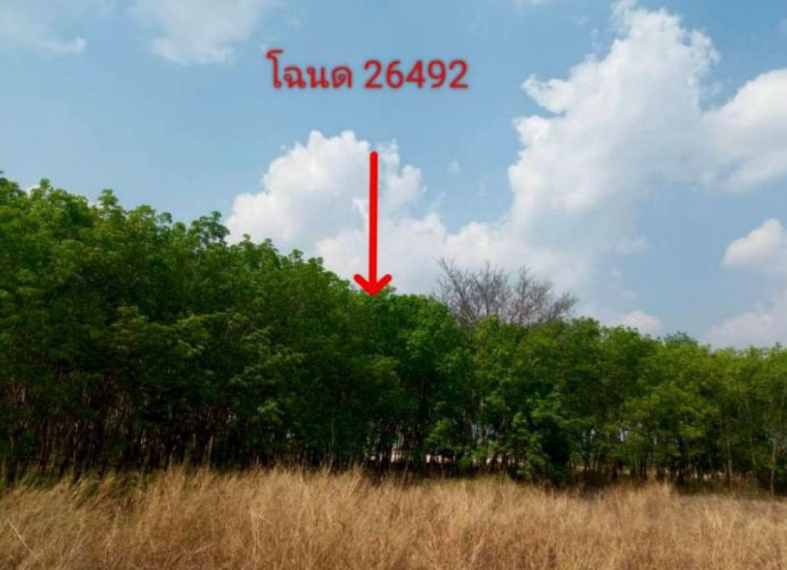 Residential land/lot Ubon Ratchathani Nam Yuen Dom Pradit 400695