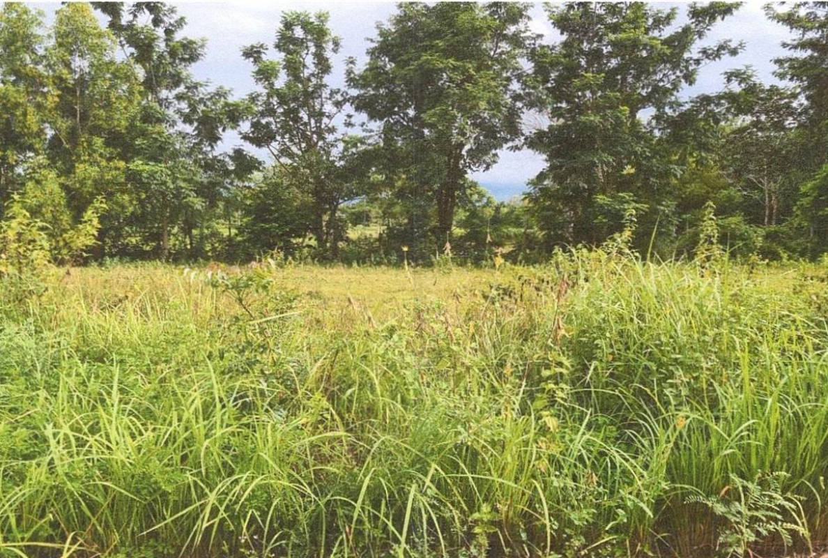 Residential land/lot Khon Kaen Nong Ruea Ban Kong 120000