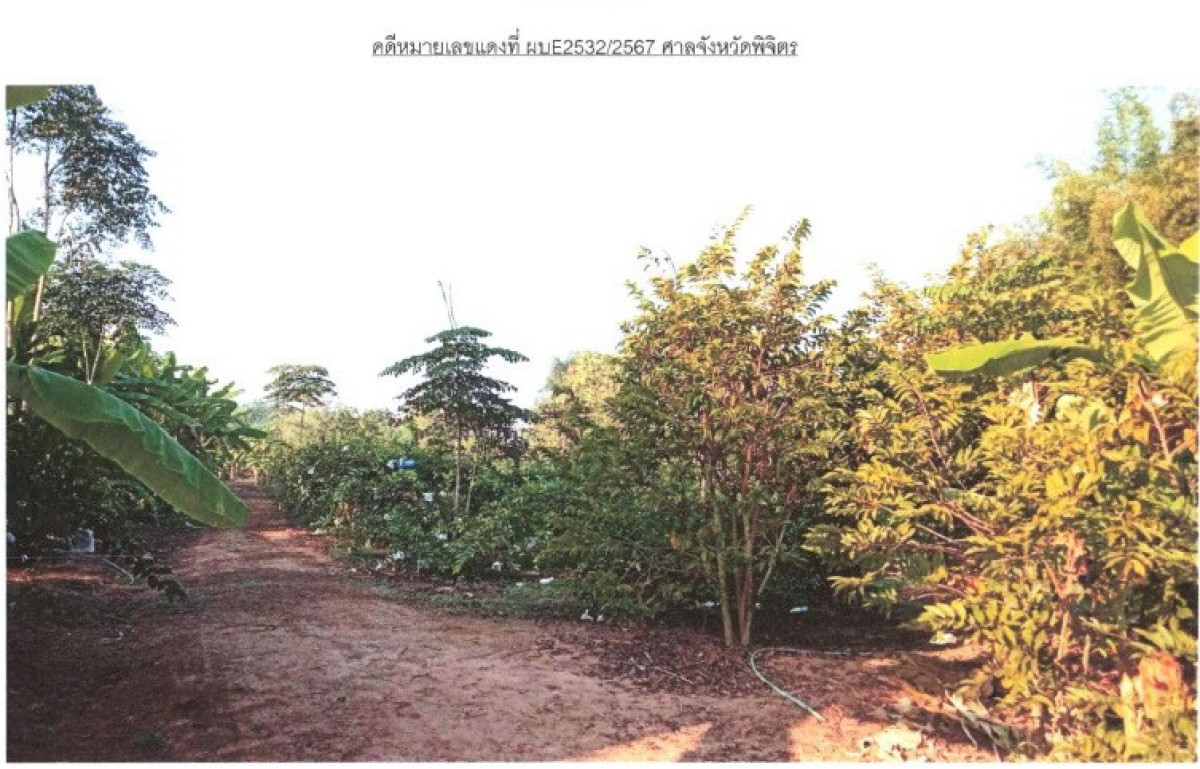 Residential land/lot Phichit Mueang Phichit Dong Pa Kham 611040