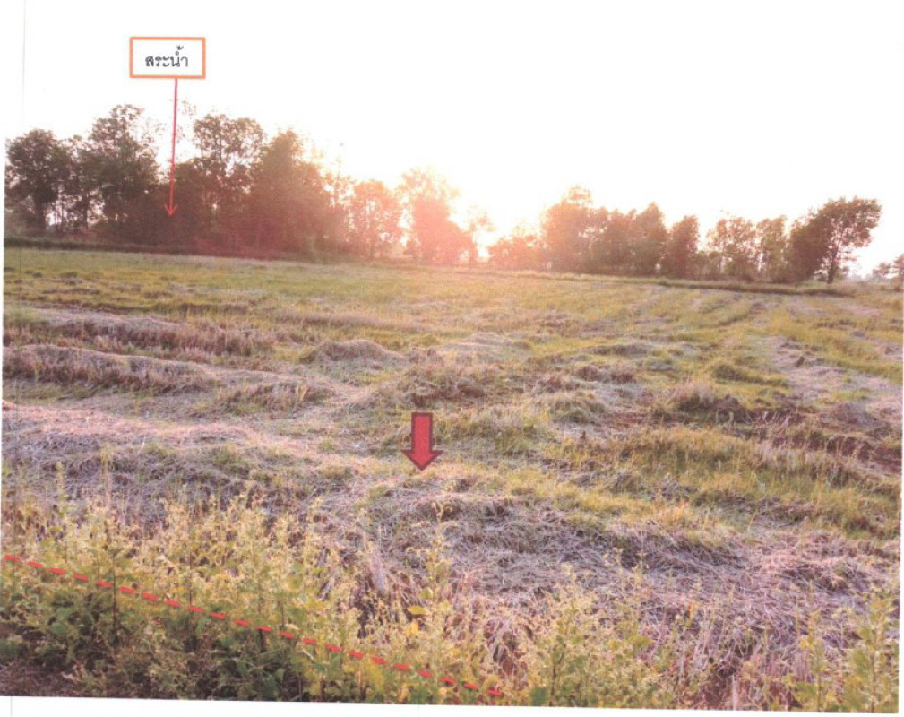 Residential land/lot Phichit Tap Khlo Khao Chet Luk 445800