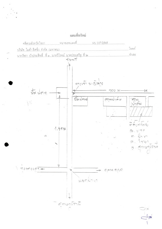 บ้านเดี่ยว สุราษฎร์ธานี ไชยา ป่าเว 685245