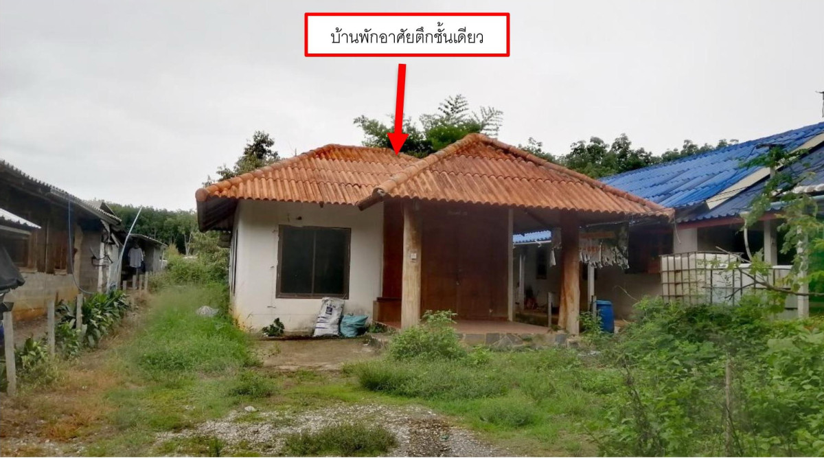 บ้านเดี่ยว กาญจนบุรี ทองผาภูมิ ท่าขนุน 455110