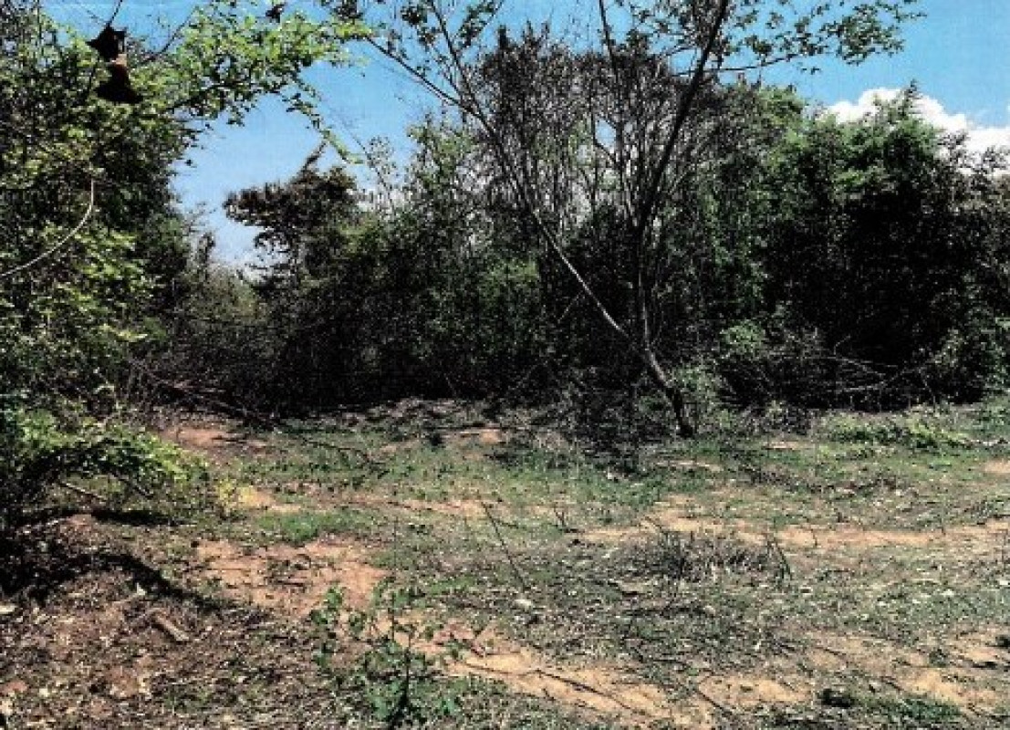 Residential land/lot Phetchabun Mueang Phetchabun Ban Khok 60000