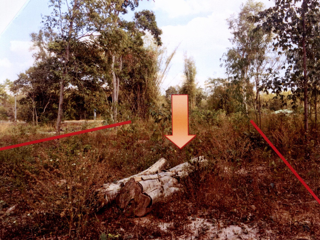 Residential land/lot Buri Ram Phutthaisong Hai Sok 175630