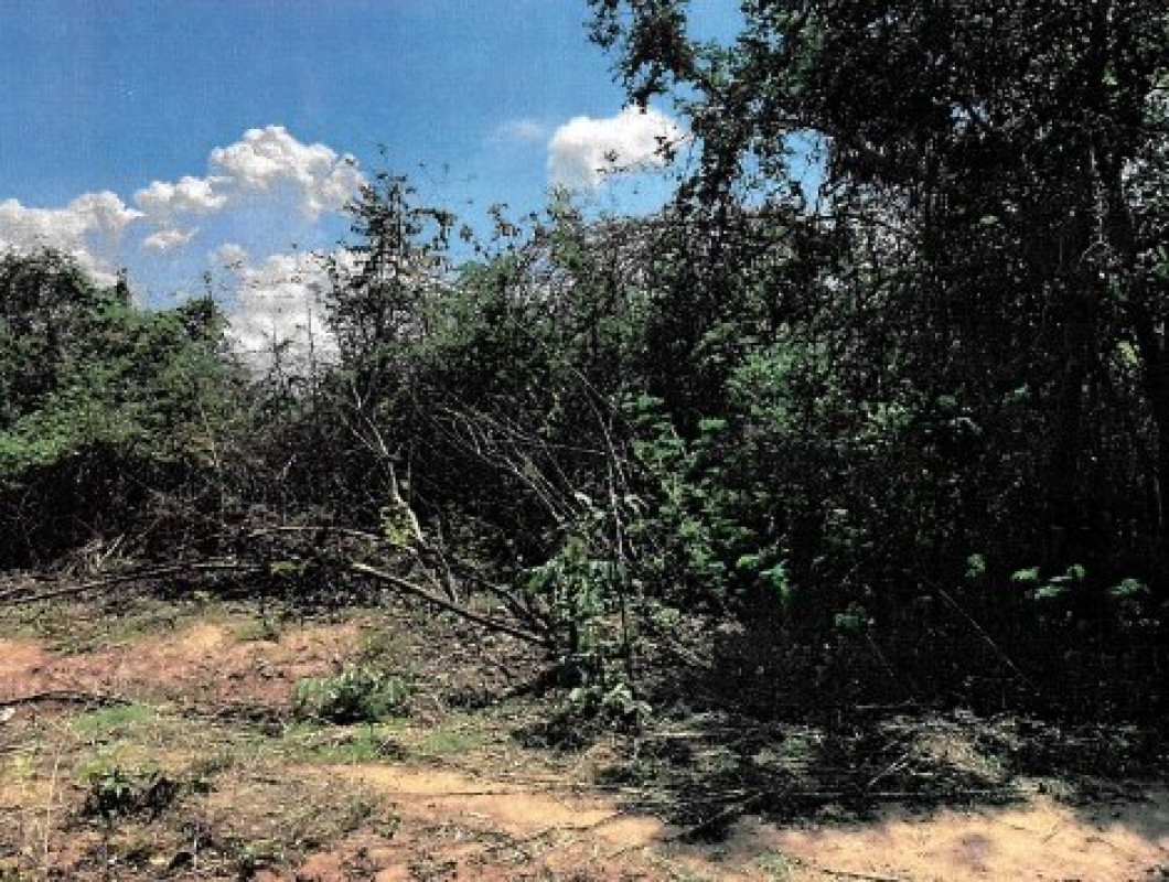 Residential land/lot Phetchabun Mueang Phetchabun Ban Khok 60000