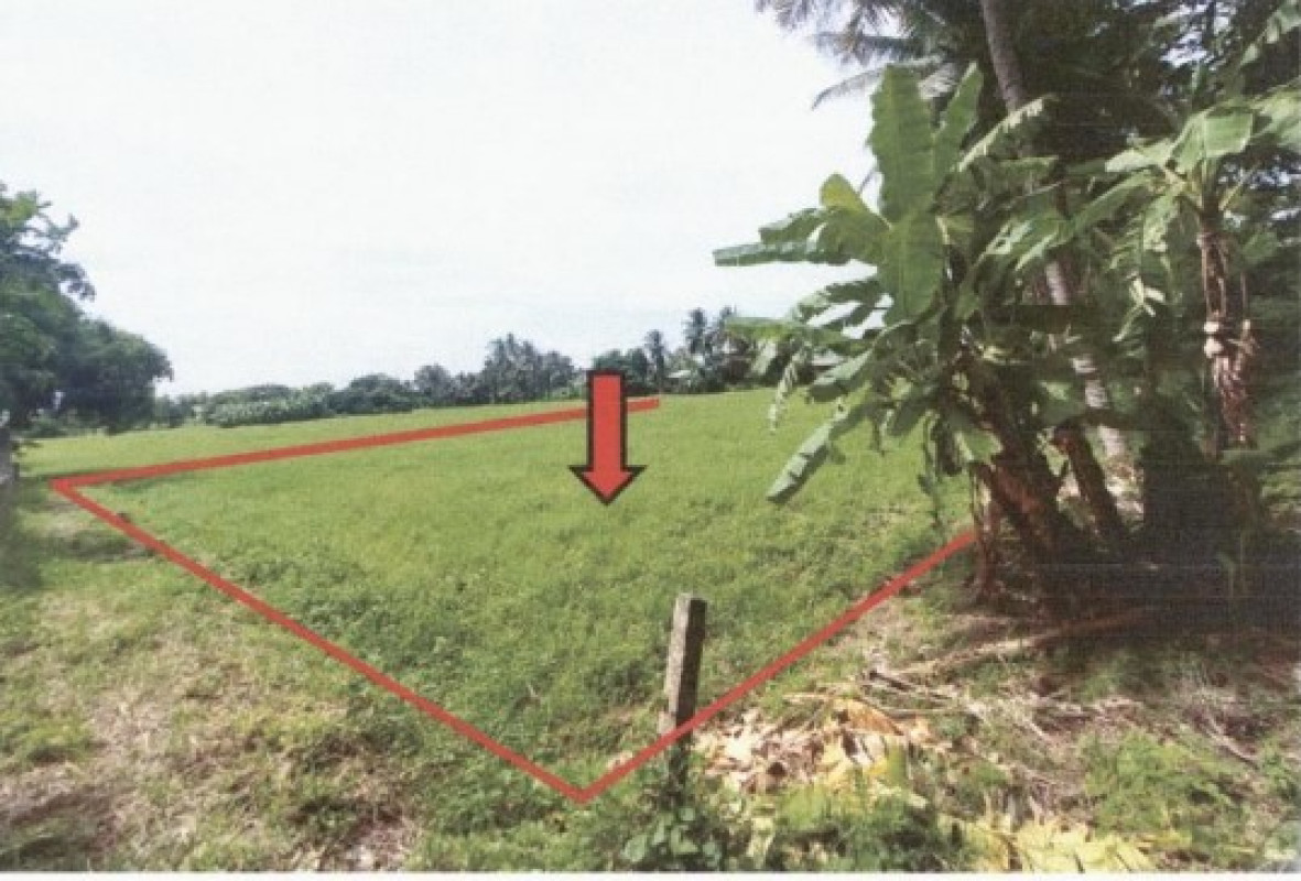 Residential land/lot Phetchabun Mueang Phetchabun Sadiang 362160