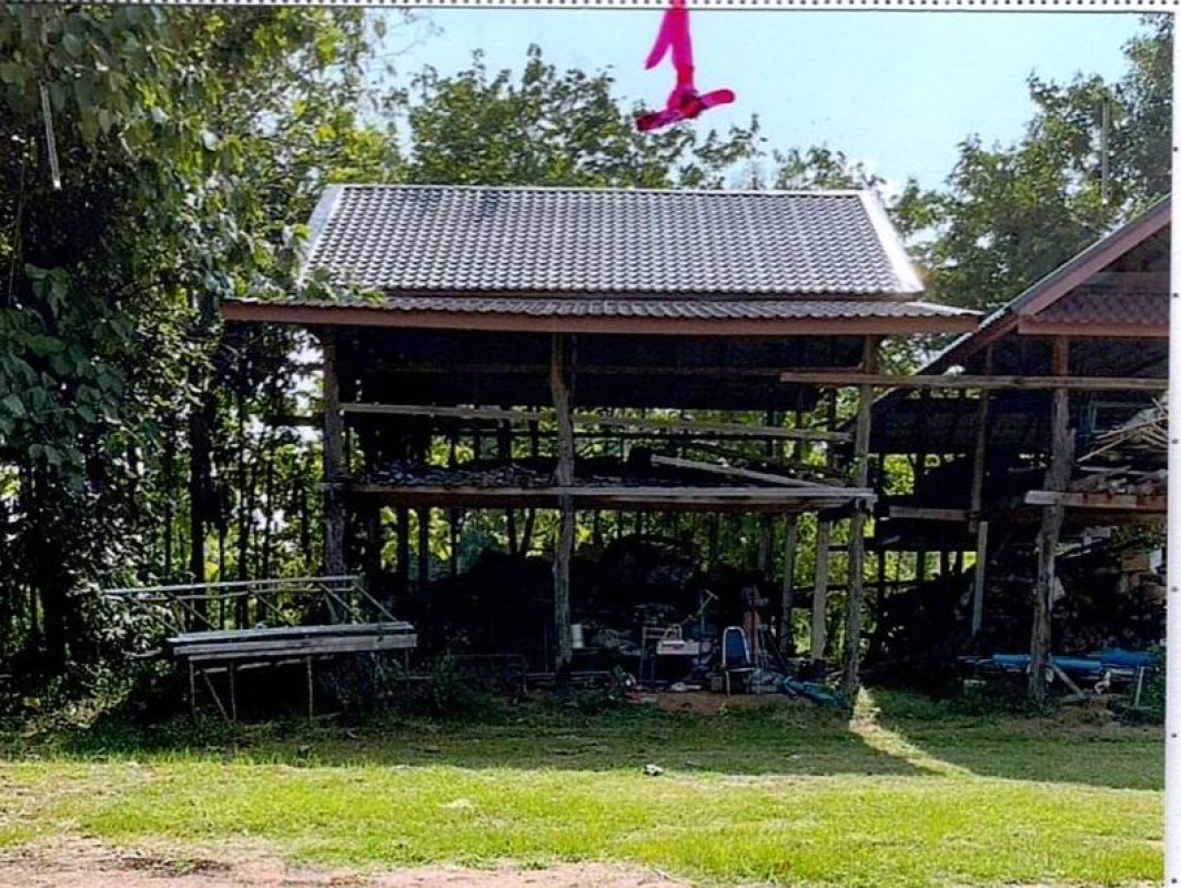 บ้านเดี่ยว ขอนแก่น ชุมแพ หนองเสาเล้า 3343548