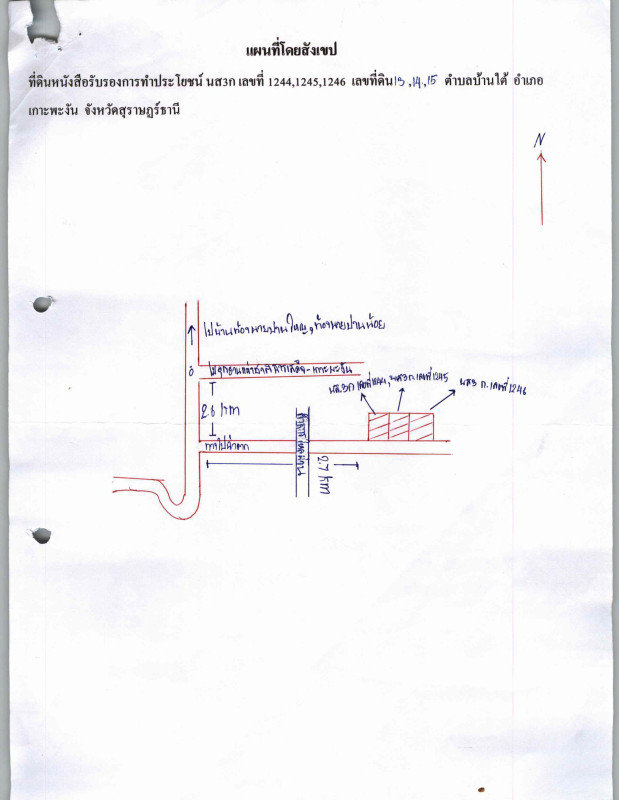 ที่ดินเปล่า สุราษฎร์ธานี เกาะพะงัน บ้านใต้ 30036000