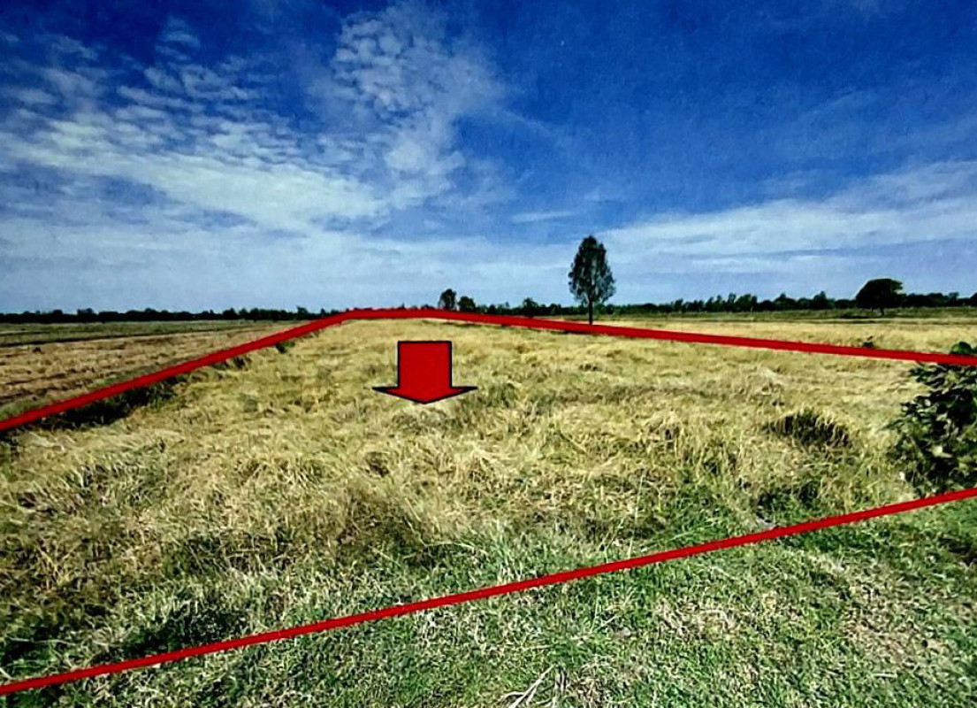 Residential land/lot Buri Ram Prakhon Chai Pang Ku 323460