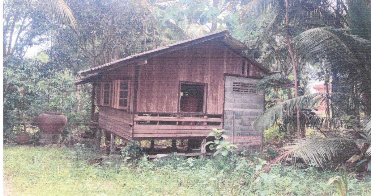 บ้านเดี่ยว สุราษฎร์ธานี เกาะพะงัน เกาะพะงัน 3114720