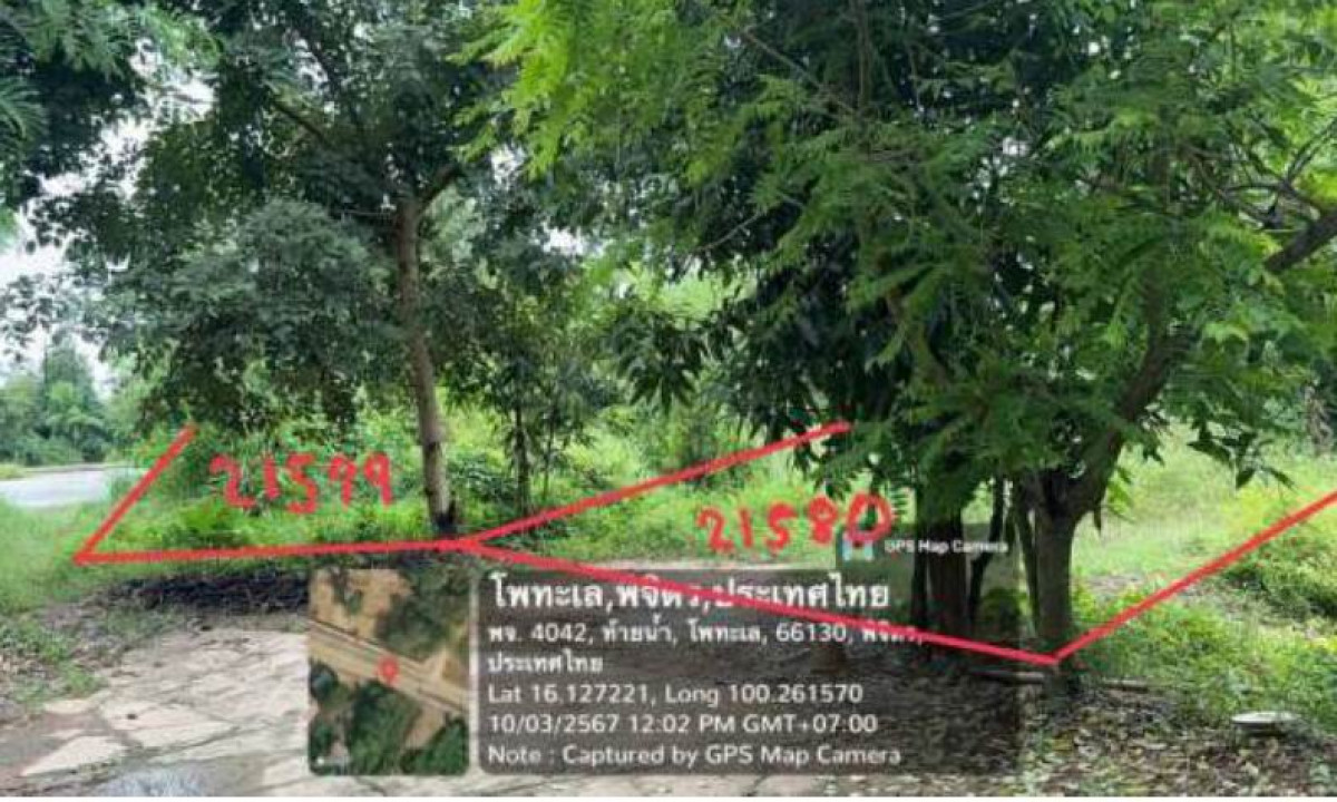 ที่ดินเปล่า พิจิตร โพทะเล โพทะเล 115800