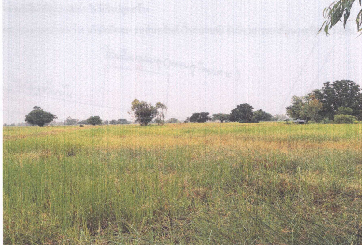 Residential land/lot Maha Sarakham Chiang Yuen Phon Thong 133950
