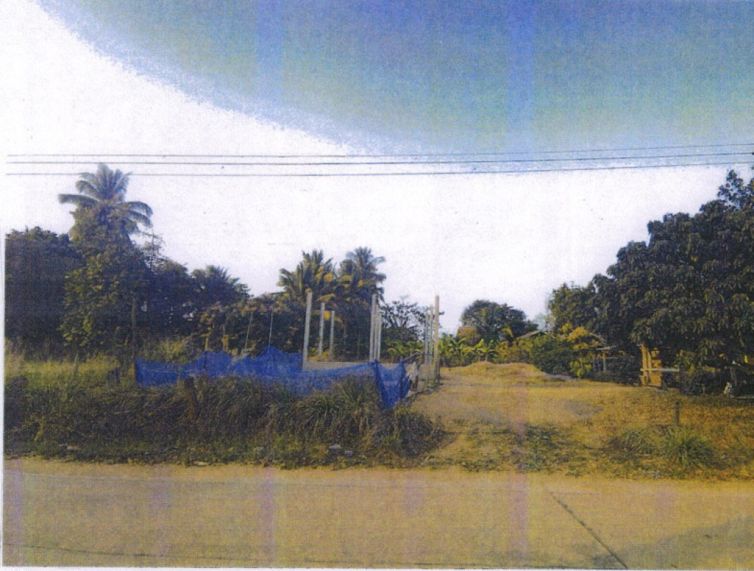 ที่ดินเปล่า หนองบัวลำภู เมืองหนองบัวลำภู โนนขมิ้น 525750