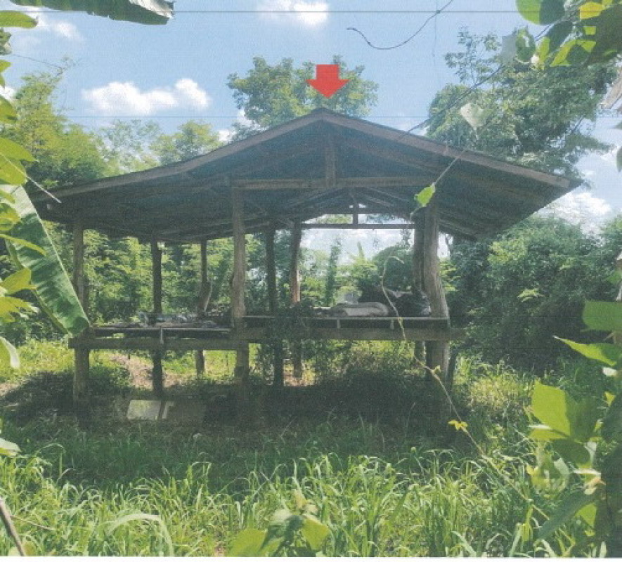 บ้านเดี่ยว กาฬสินธุ์ เมืองกาฬสินธุ์ ขมิ้น 84500
