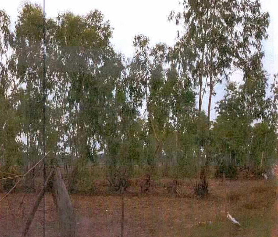 Residential land/lot Nong Khai Mueang Nong Khai Wat That 412750