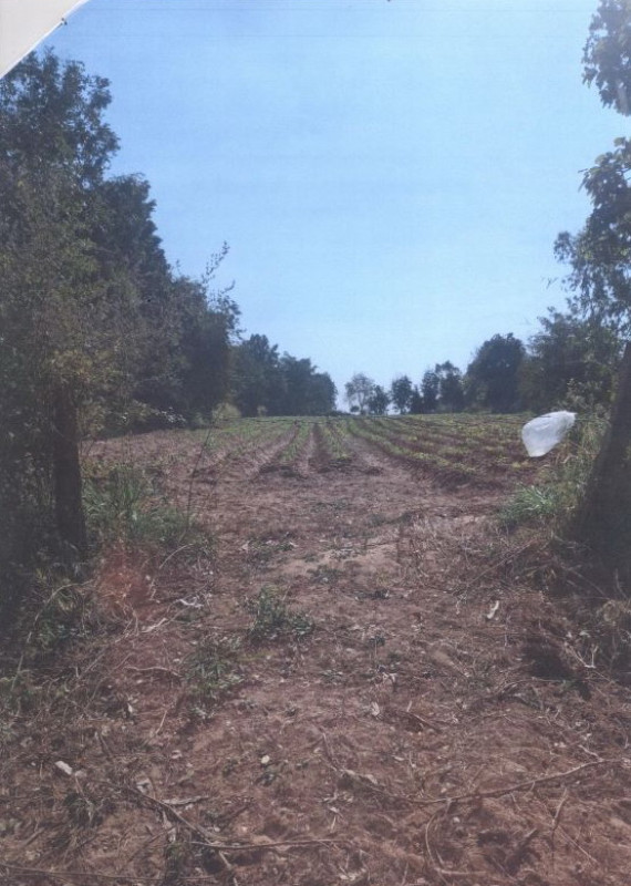 Residential land/lot Khon Kaen Waeng Noi Lahan Na 240000
