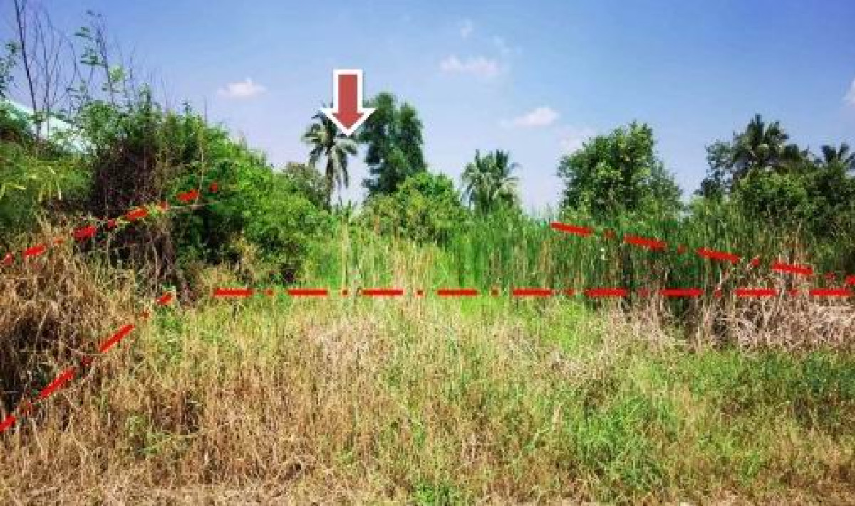 ที่ดินเปล่า ฉะเชิงเทรา เมืองฉะเชิงเทรา คลองเปรง 229600
