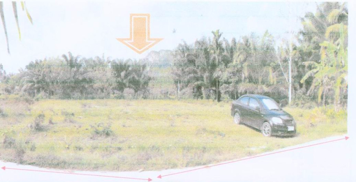 ที่ดินเปล่า นครศรีธรรมราช สิชล สิชล 65500