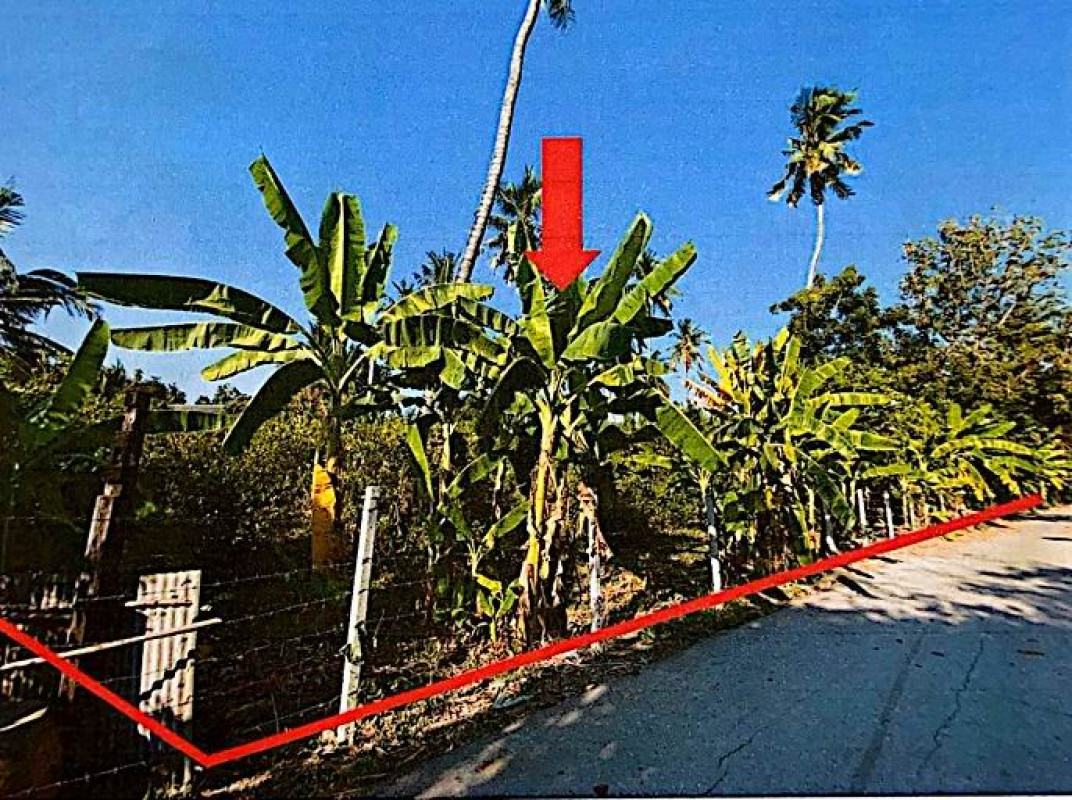 Residential land/lot Ratchaburi Photharam Tha Chumphon 36500