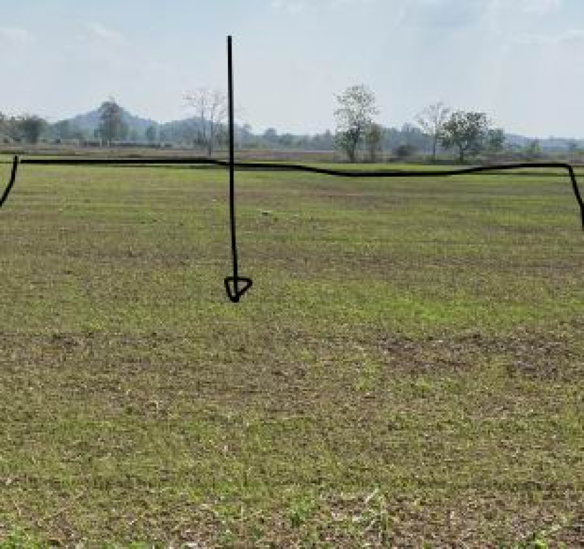 Residential land/lot Phetchabun Wang Pong Thai Dong 468000