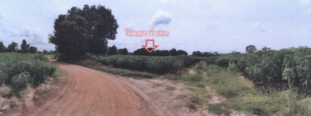 Residential land/lot Udon Thani Si That Nong Nok Khian 369200
