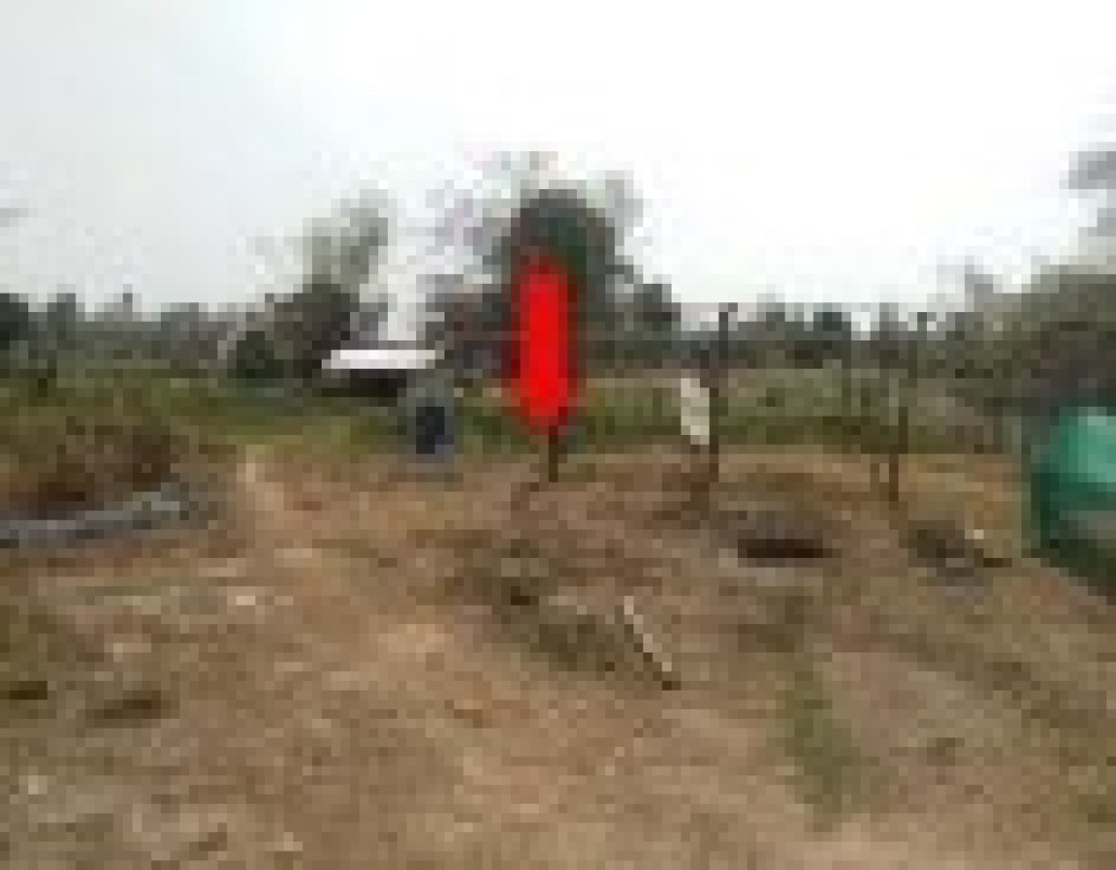 ที่ดินเปล่า หนองคาย สระใคร บ้านฝาง 2041750