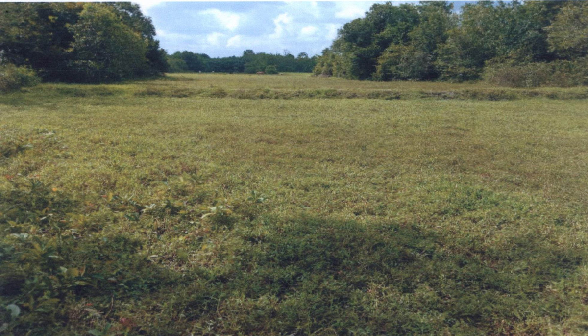 Residential land/lot Songkhla Rattaphum Khuan Ru 432549