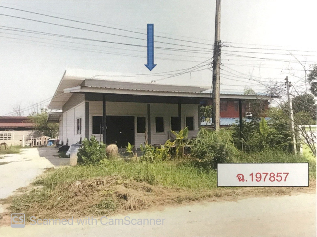 บ้านเดี่ยว พิษณุโลก เมืองพิษณุโลก บ้านป่า 1083900