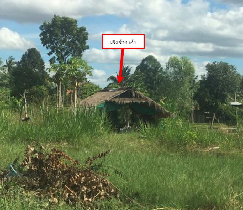 บ้านเดี่ยว ศรีสะเกษ ศรีรัตนะ สะพุง 22056