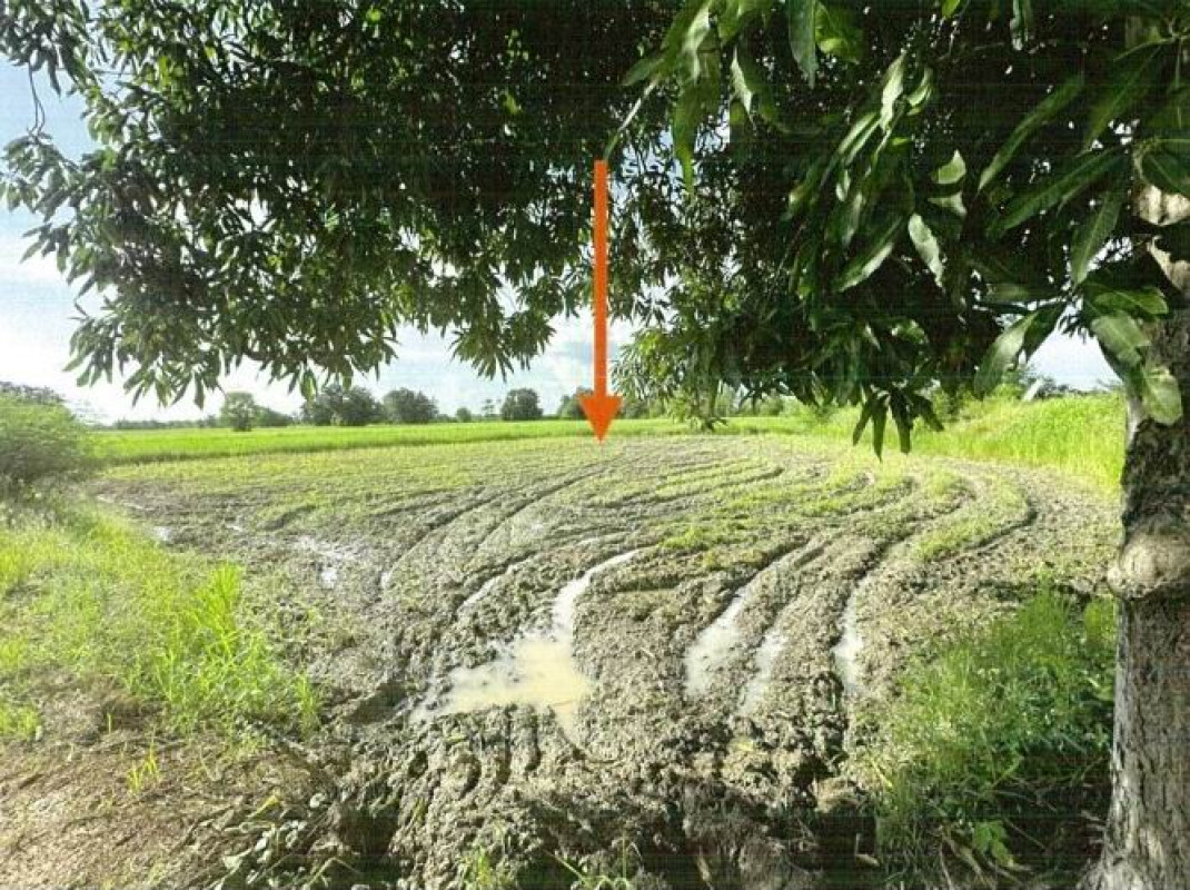 ที่ดินเปล่า กำแพงเพชร ขาณุวรลักษบุรี ดอนแตง 2477100