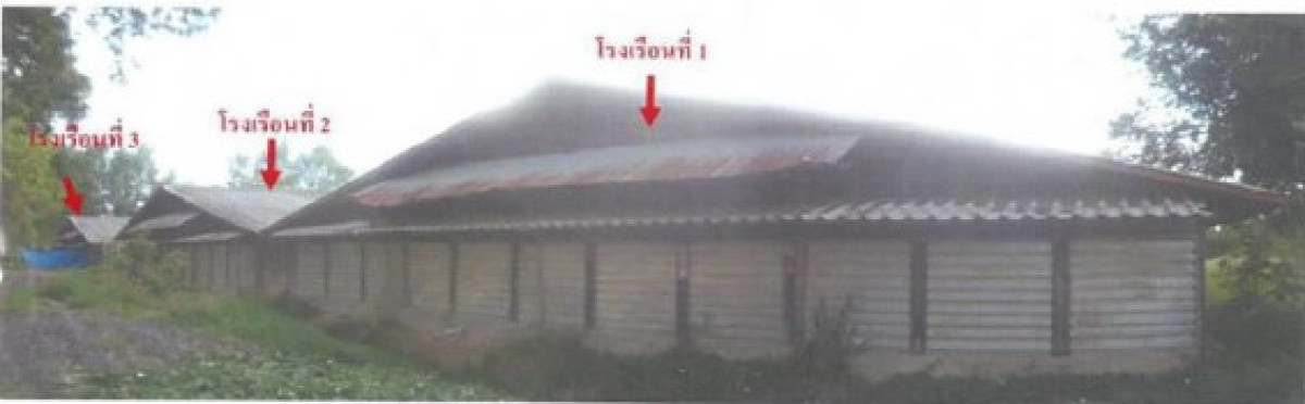 บ้านเดี่ยว บุรีรัมย์ ลำปลายมาศ โคกล่าม 4993575