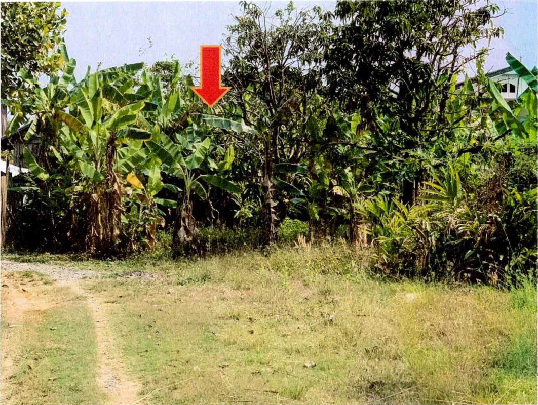 Residential land/lot Nong Bua Lam Phu Si Bun Rueang Nong Kae 15410