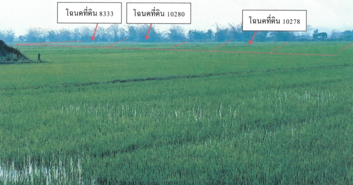 ที่ดินเปล่า เชียงราย พญาเม็งราย ตาดควัน 153120