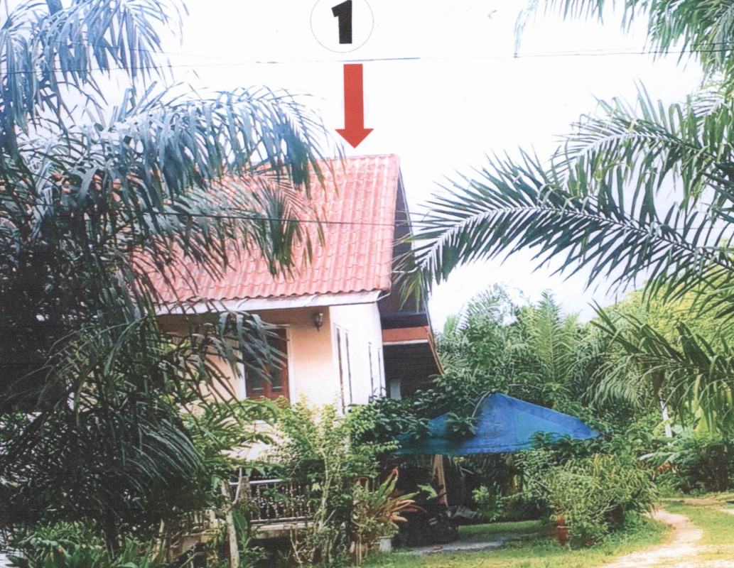 บ้านเดี่ยว พัทลุง ควนขนุน แหลมโตนด 2443180