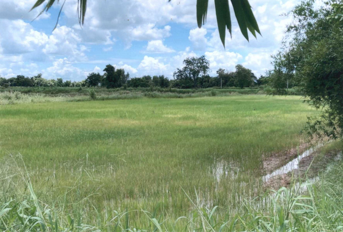 Residential land/lot Maha Sarakham Kosum Phisai Khewa Rai 155760