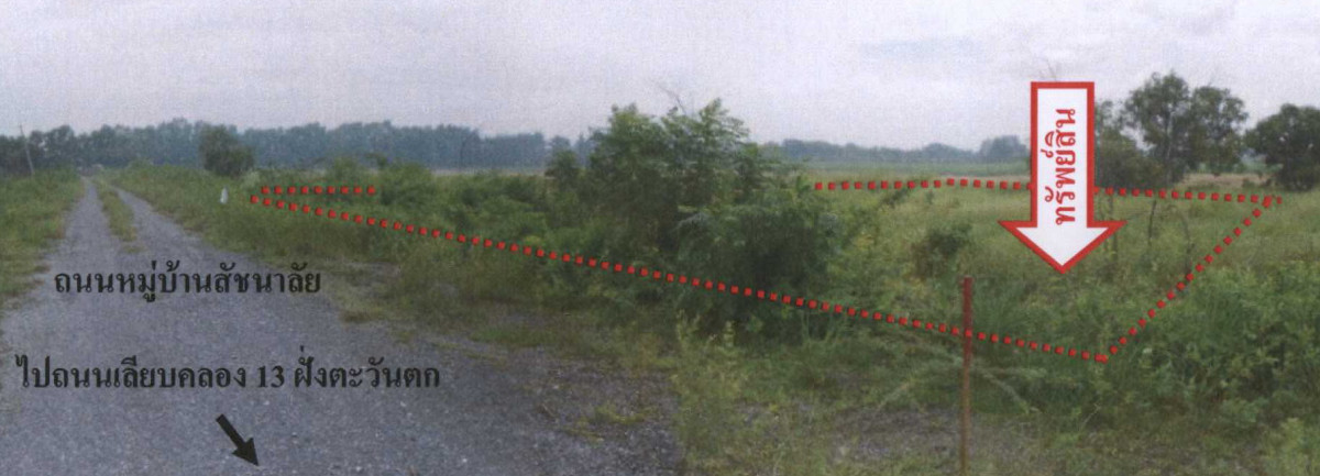 ที่ดินเปล่า ปทุมธานี หนองเสือ ศาลาครุ 367500