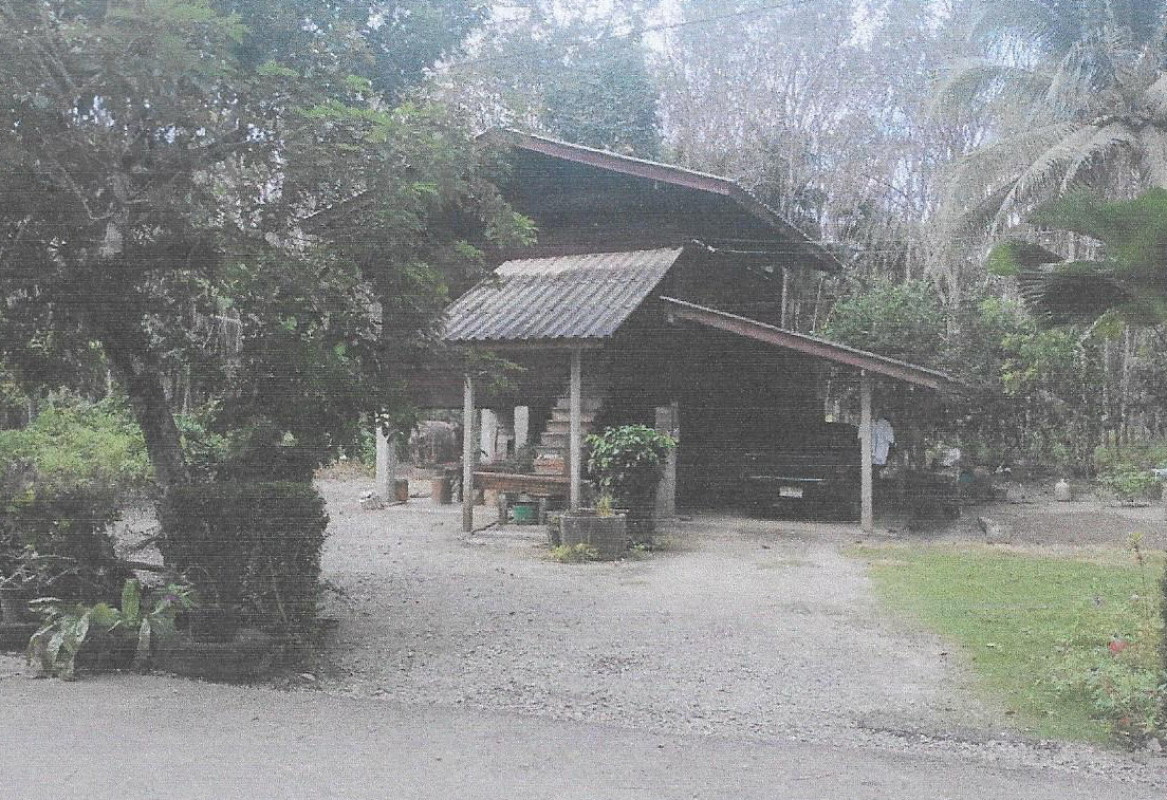 บ้านเดี่ยว สุราษฎร์ธานี พุนพิน บางมะเดื่อ 794950