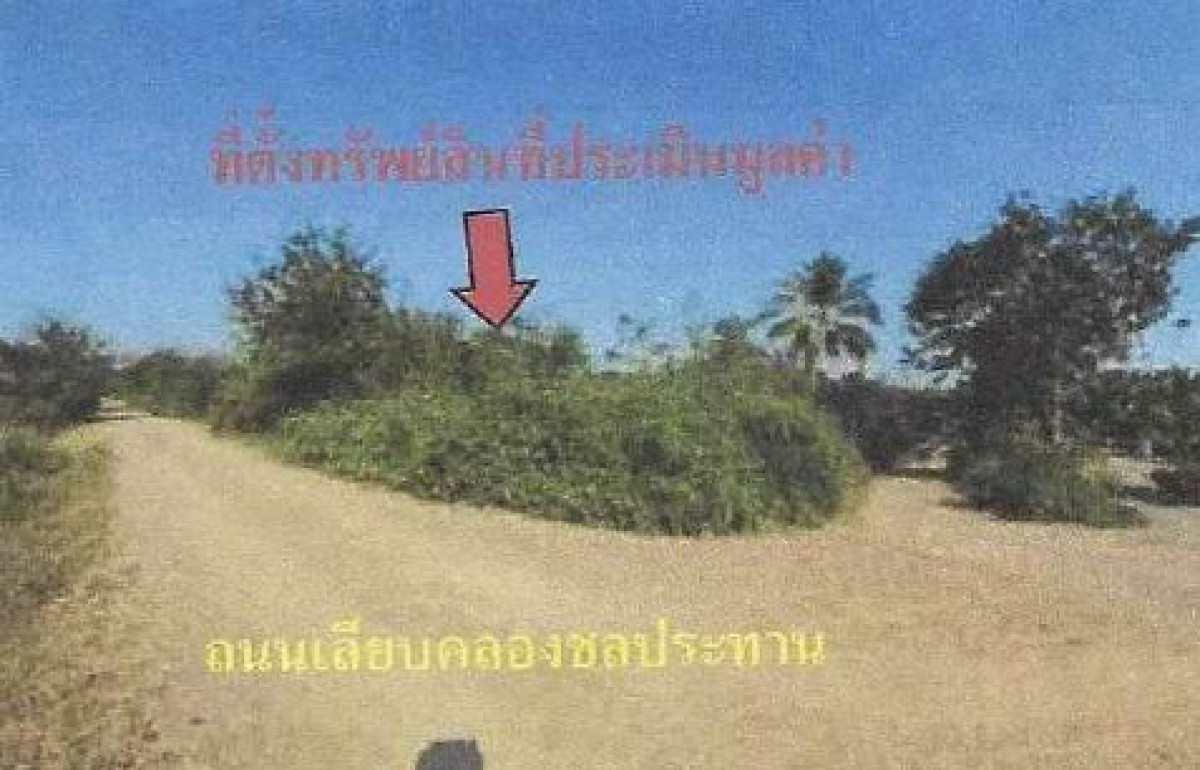 ที่ดินเปล่า ราชบุรี ปากท่อ บ่อกระดาน 12045200