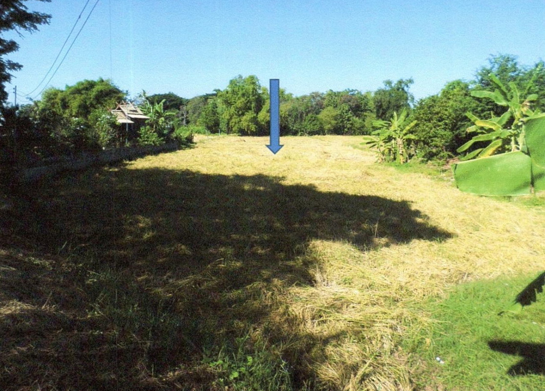 Residential land/lot Khon Kaen Chum Phae Chum Phae 555800