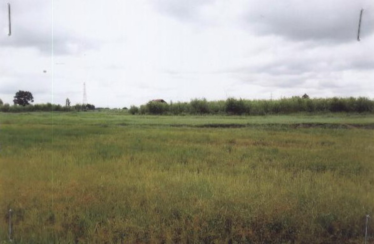 Residential land/lot Maha Sarakham Mueang Maha Sarakham Kaeng Loeng Chan 250000