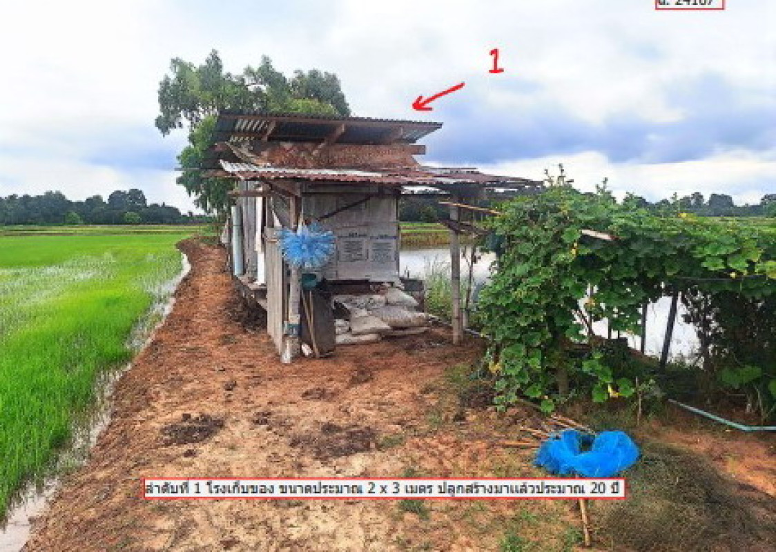 บ้านเดี่ยว พิษณุโลก บางกระทุ่ม วัดตายม 1263600