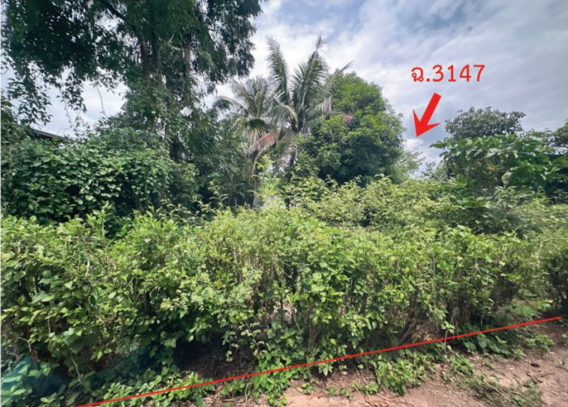 Residential land/lot Phitsanulok Bang Krathum Noen Kum 45500