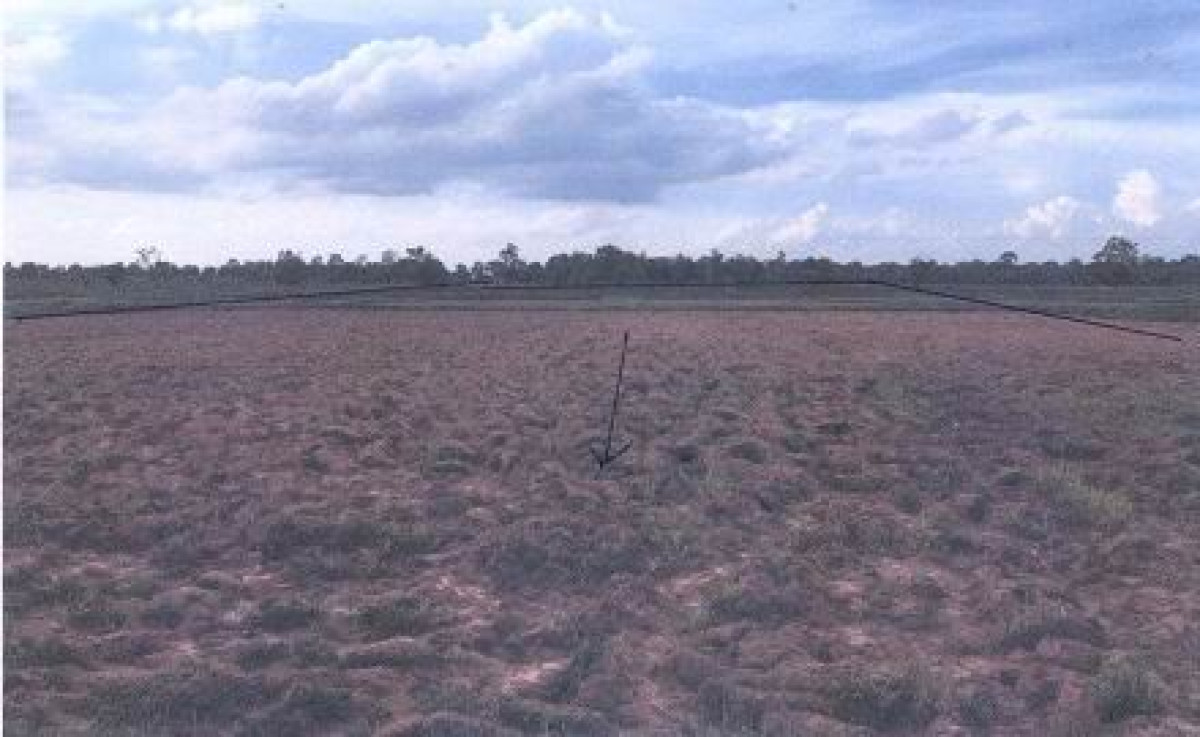 Residential land/lot Khon Kaen Nong Song Hong Nong Mek 612600