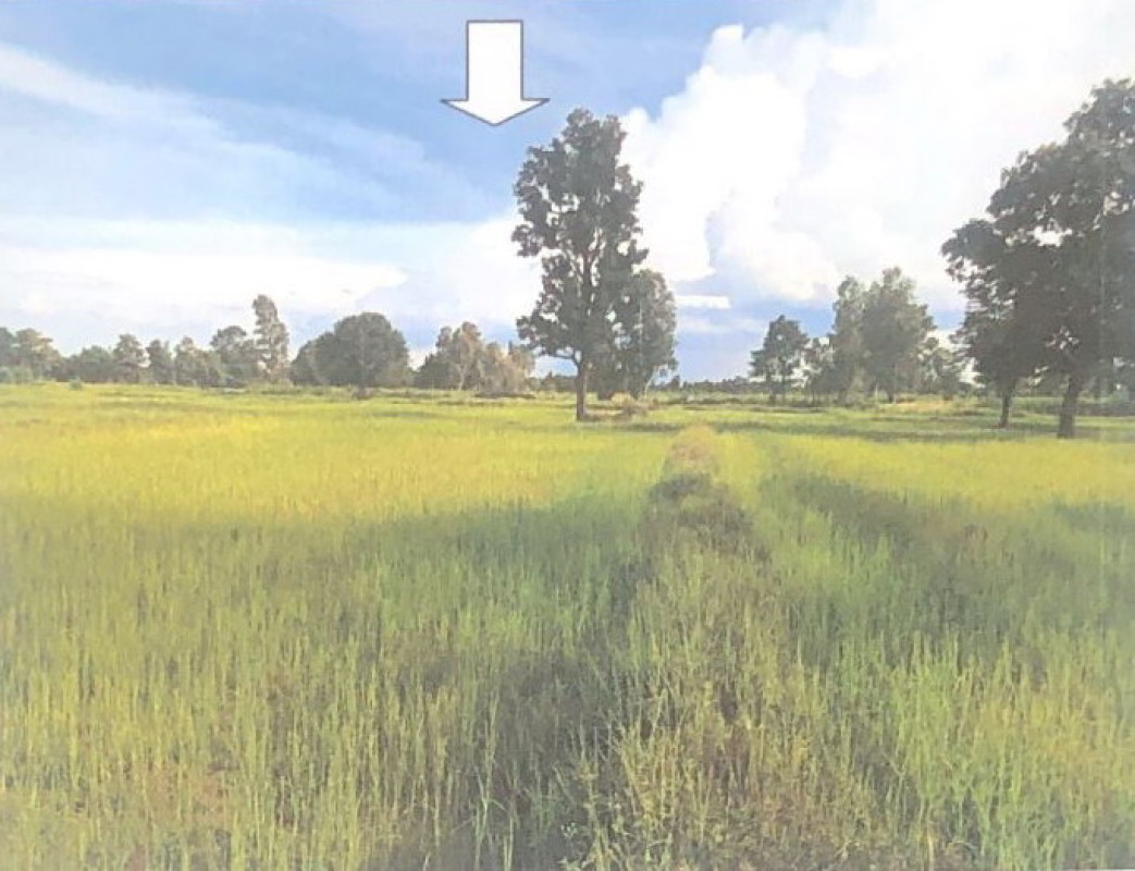 ที่ดินเปล่า อุดรธานี หนองหาน ผักตบ 729500