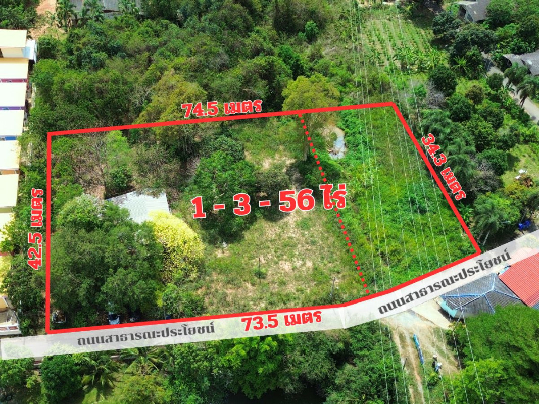 ที่ดินเปล่า ชลบุรี สัตหีบ บางเสร่ 7000000