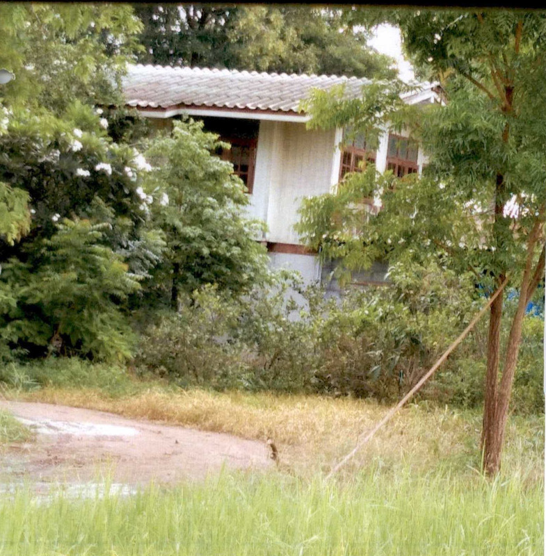 บ้านเดี่ยว สุพรรณบุรี เดิมบางนางบวช ยางนอน 1256220