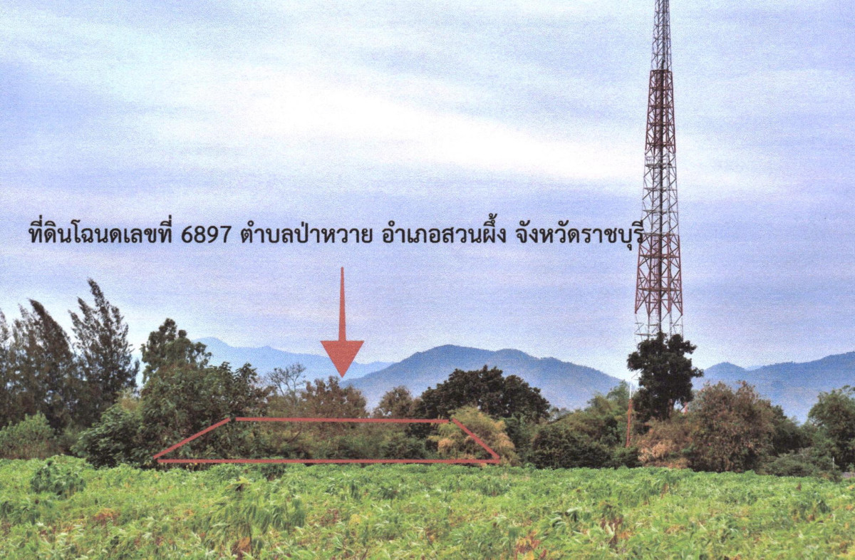 ที่ดินเปล่า ราชบุรี สวนผึ้ง ป่าหวาย 25500